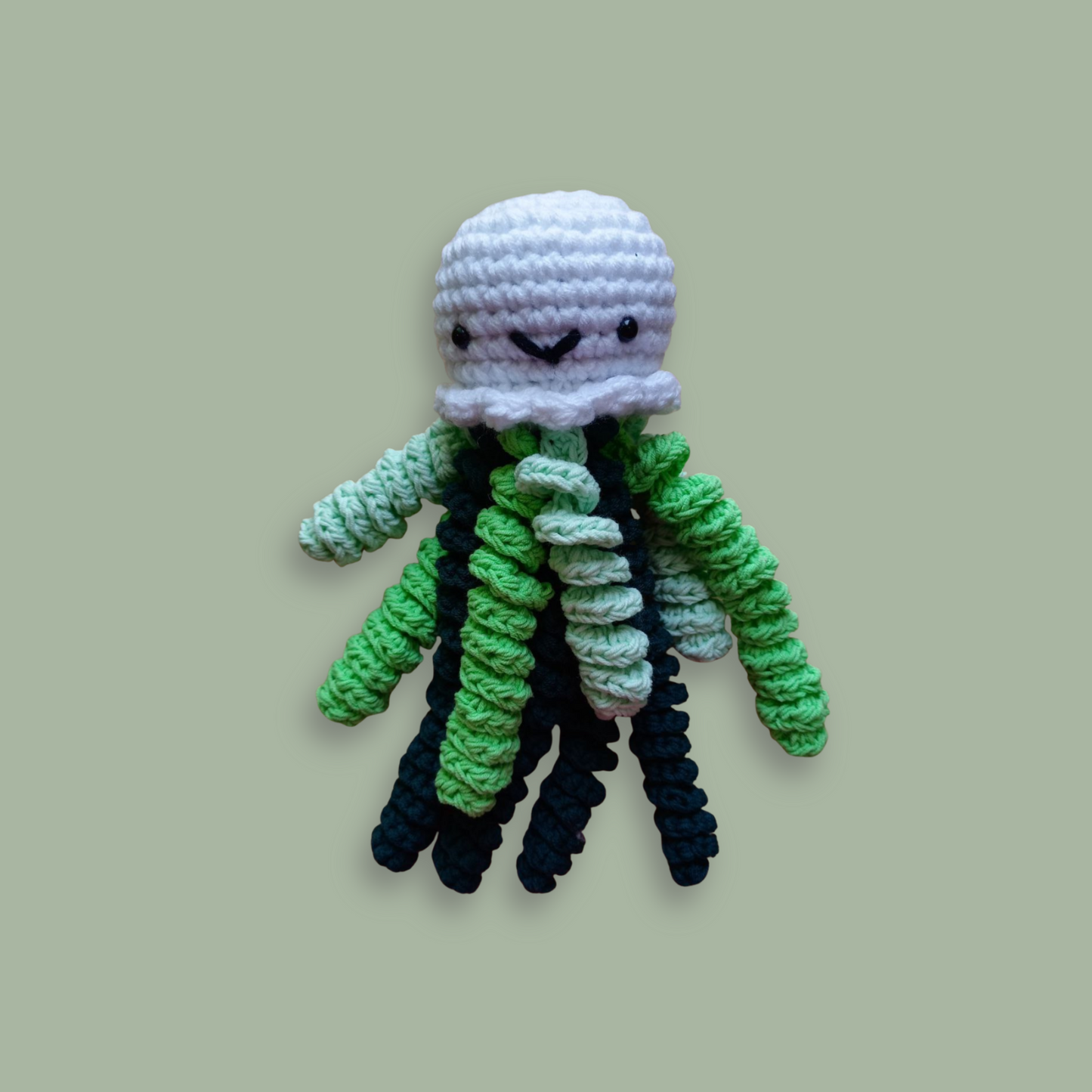 Jellyfish